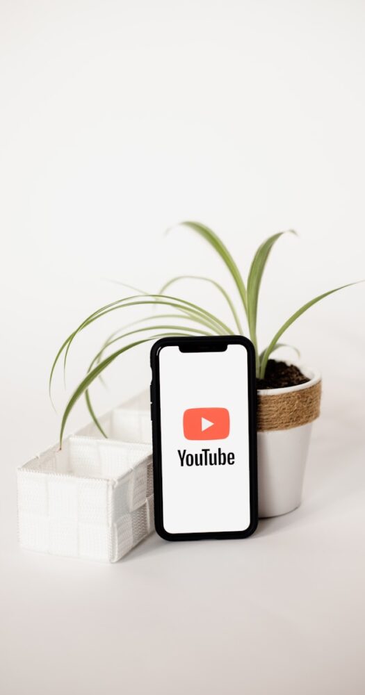 a cell phone sitting next to a potted plant